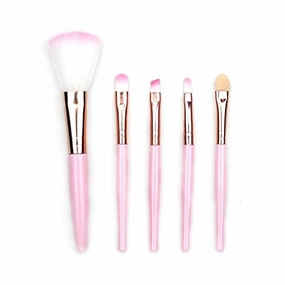 5-piece Makeup Brush Set Eye Shadow Eyebrow Pencil Eyeliner Blush Loose Powder Professional Lip Lady Makeup Tool (Color : Style 1)