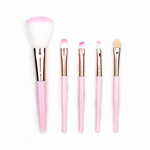 5-piece Makeup Brush Set Eye Shadow Eyebrow Pencil Eyeliner Blush Loose Powder Professional Lip Lady Makeup Tool (Color : Style 1)