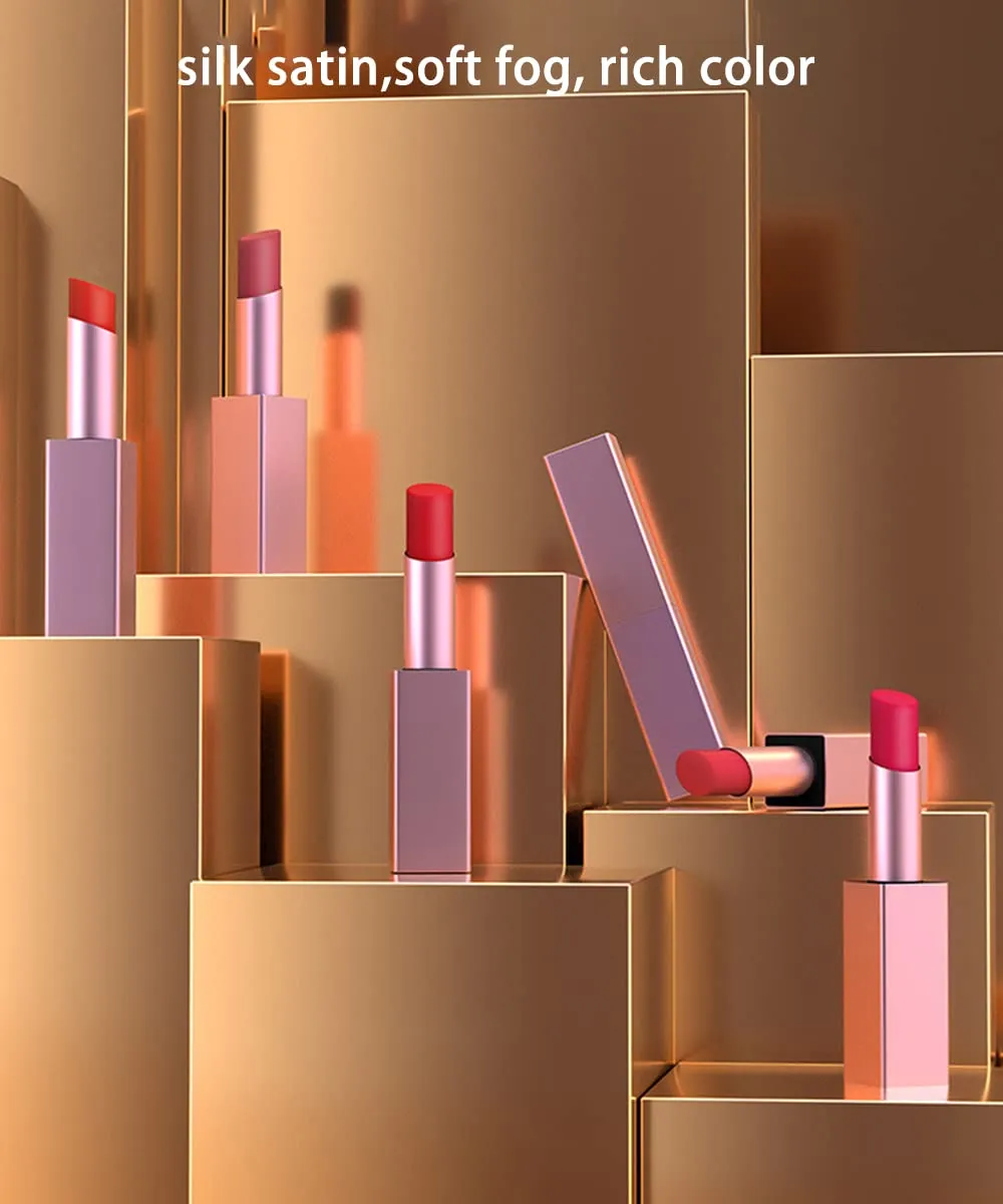 6 Colos Matte Waterproof LipStick Summer Long Lasting Lip Makeup Set No Fade Pigmented Lip Stick Cosmeitc Gift Kits (006)