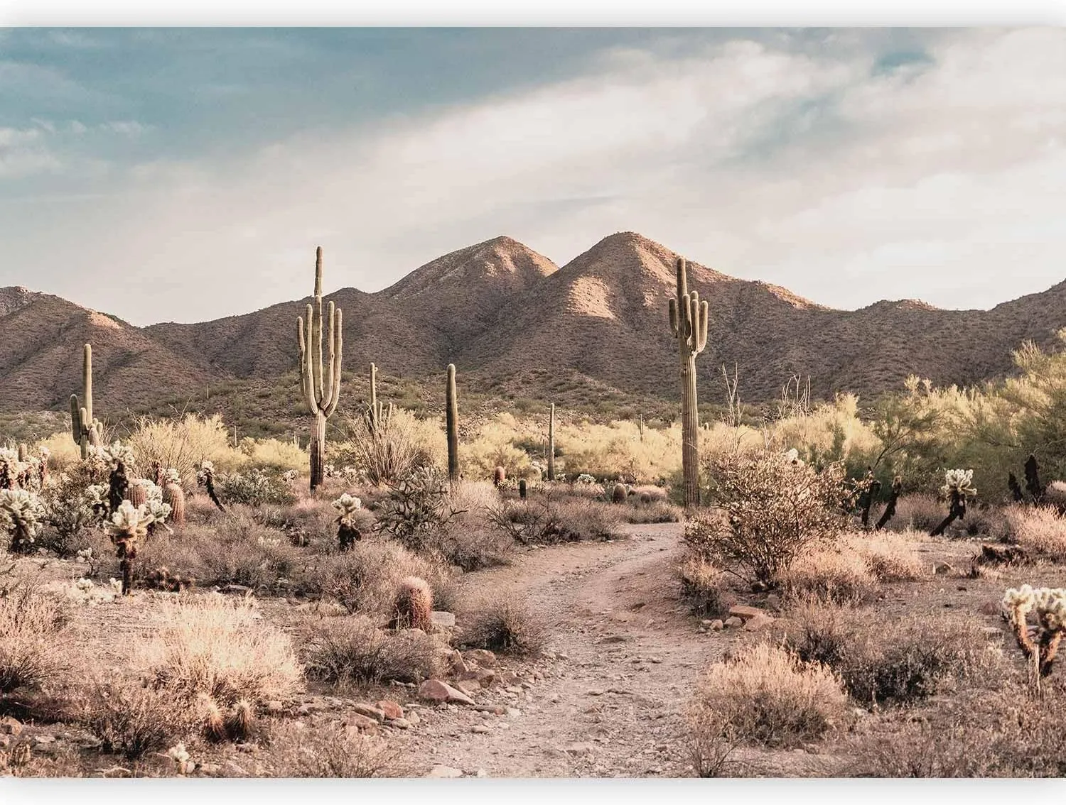 artgeist Peel and Stick Wall Mural Desert Landscape 116x83 in self-Adhesive Wallpaper Nature Wall Art Mountains Wilderness Desert Flora Western Path Country Road Brown Beige Home Decor c-B-10238-a-a