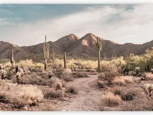 artgeist Peel and Stick Wall Mural Desert Landscape 116x83 in self-Adhesive Wallpaper Nature Wall Art Mountains Wilderness Desert Flora Western Path Country Road Brown Beige Home Decor c-B-10238-a-a