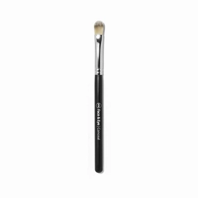 Brush Face & Eye | Conceal