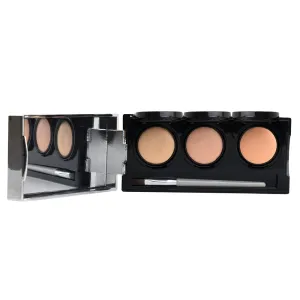 DERMAFLAGE COVERAGE  Rosacea and Redness Makeup Infused With Cream For Redness Relief For Face | Rosacea Cream For Redness Relief For Face Plus Full Coverage Anti Redness Makeup |… (Light)