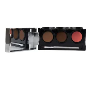 Dermaflage Tattoo Cover Up Makeup (Dark) - Bruise Full Coverage Concealer - Full Coverage Waterproof Concealer for Bruise, Scars & Acne - Smudge Proof Body Makeup Palette with 3 Pro SFX Shades   Brush
