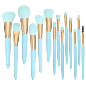 JSEIAJB Makeup brush set 14 pieces of light full set powder eye shadow brush multi-function beauty tools