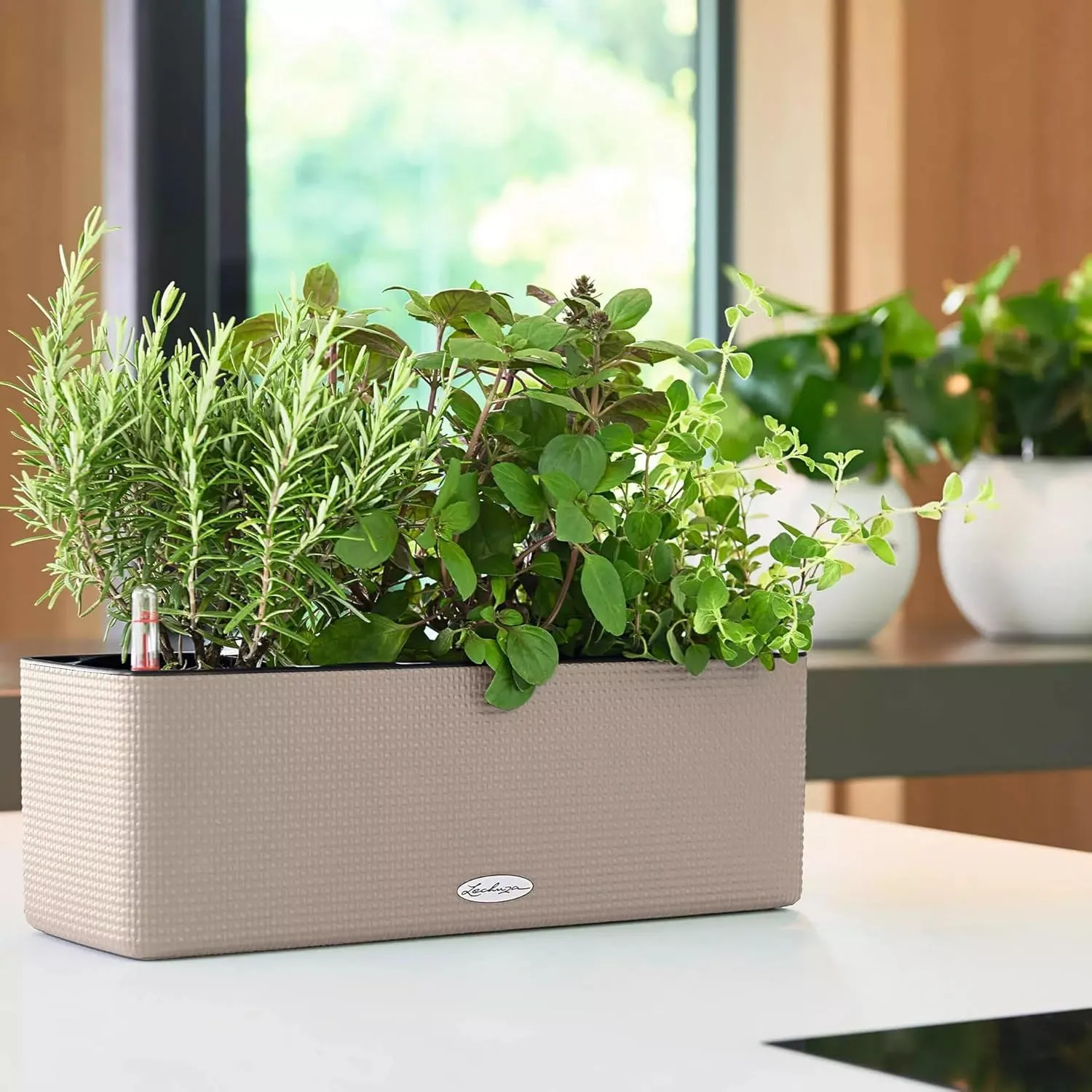 Lechuza 13686 Cube Color Triple Self-Watering Garden Planter for Indoor and Outdoor Use, 16" x 5.5" x 5.25", Sand Brown