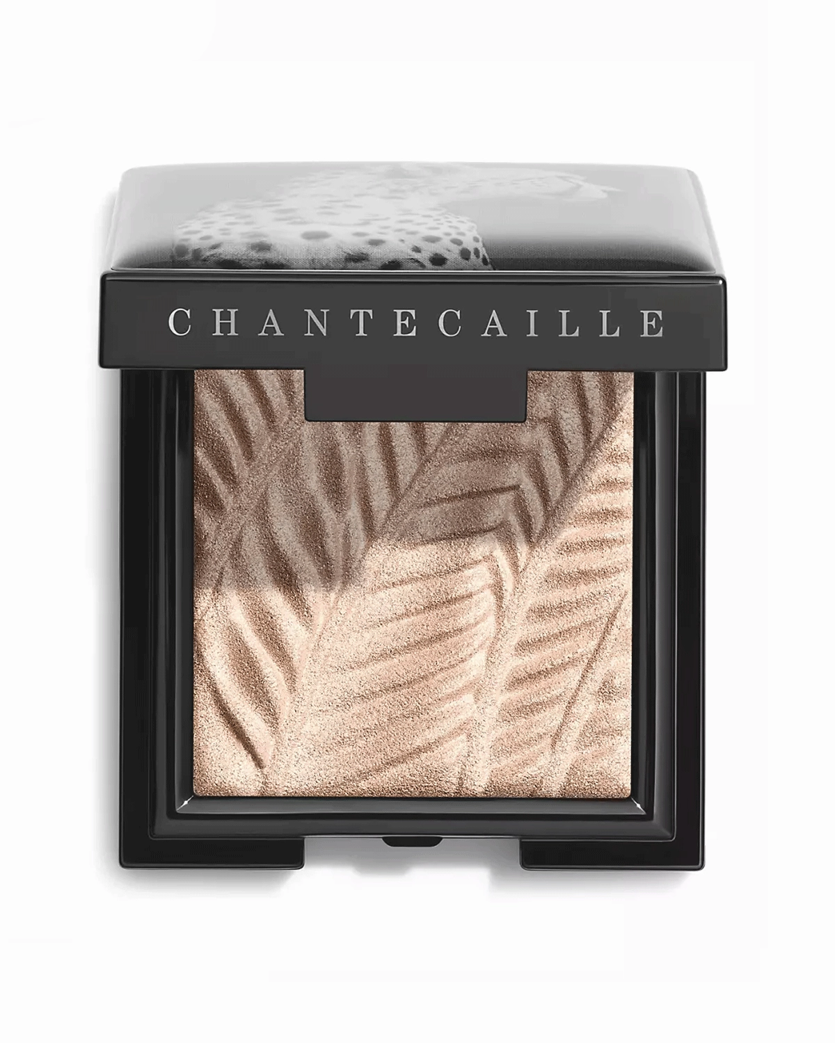 Luminescent Eye Shade in Cheetah