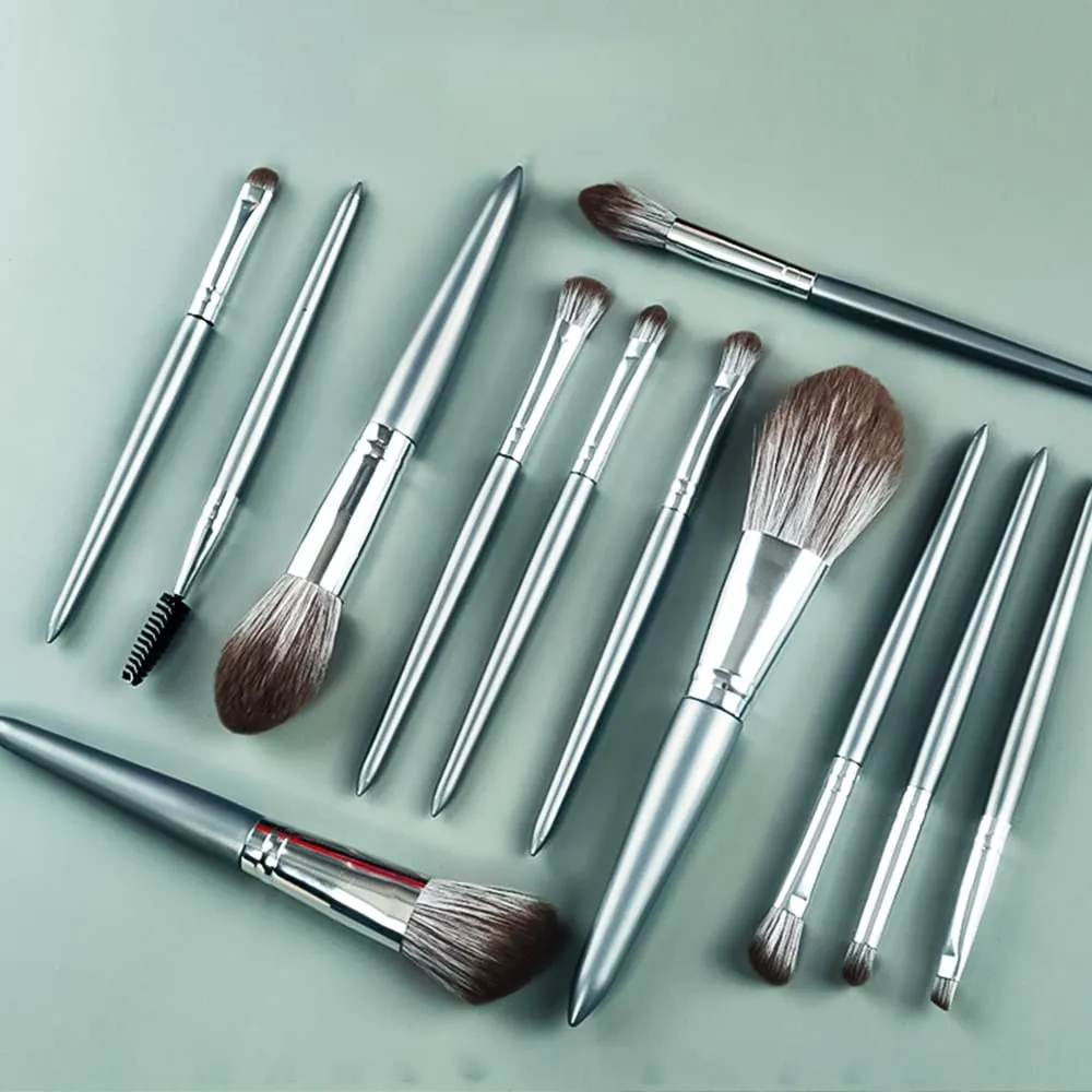 Makeup Brush Set 12pcs Premium Makeup Brushes, Advanced Professional Makeup Kit Eyeshadow Brush Kabuki Brush for Powder Foundation Cosmetic Brsuhes Set with Case Silver Gray