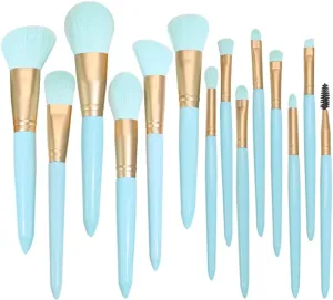 Makeup Brush Set 14 Pieces of Light Full Set Powder Eye Shadow Brush Multi-Function Beauty Tools