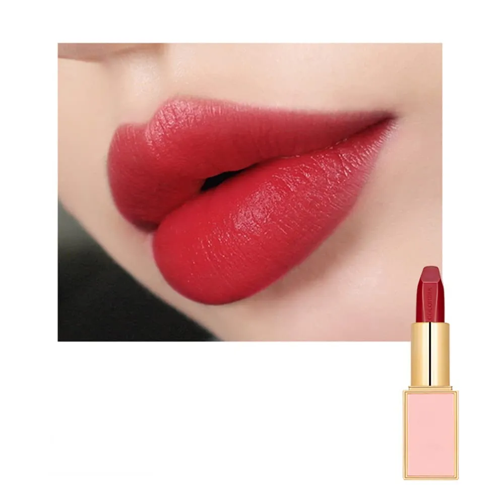 Matte LipStick Multiple Colos Long Lasting Waterproof Lip Makeup No Fade Pigmented Lip Stick Cosmeitc Gift for Girls and Women (03#P)