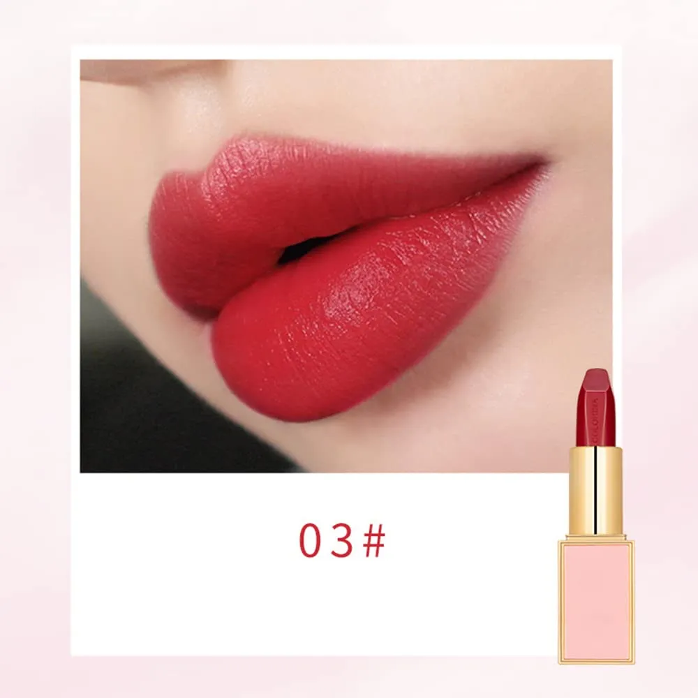Matte LipStick Multiple Colos Long Lasting Waterproof Lip Makeup No Fade Pigmented Lip Stick Cosmeitc Gift for Girls and Women (03#P)