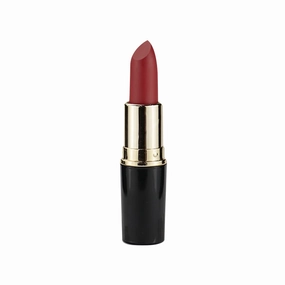 Matte Waterproof LipStick, 14 Colors Long Lasting Lip Makeup No Fade Pigmented Lip Stick Cosmeitc Gift for Girls and Women (10#)
