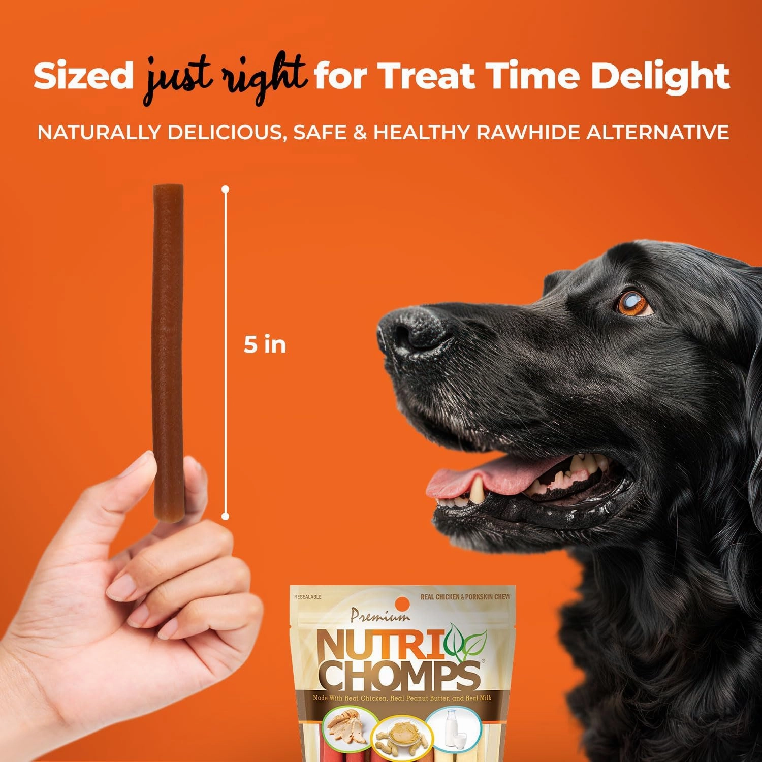 NutriChomps Dog Chews, 5-inch Twists, Easy to Digest, Rawhide-Free Dog Treats, 15 Count, Real Chicken, Peanut Butter and Milk Flavors, Bundle of 2, Brown, red, Cream (NT051V-2)