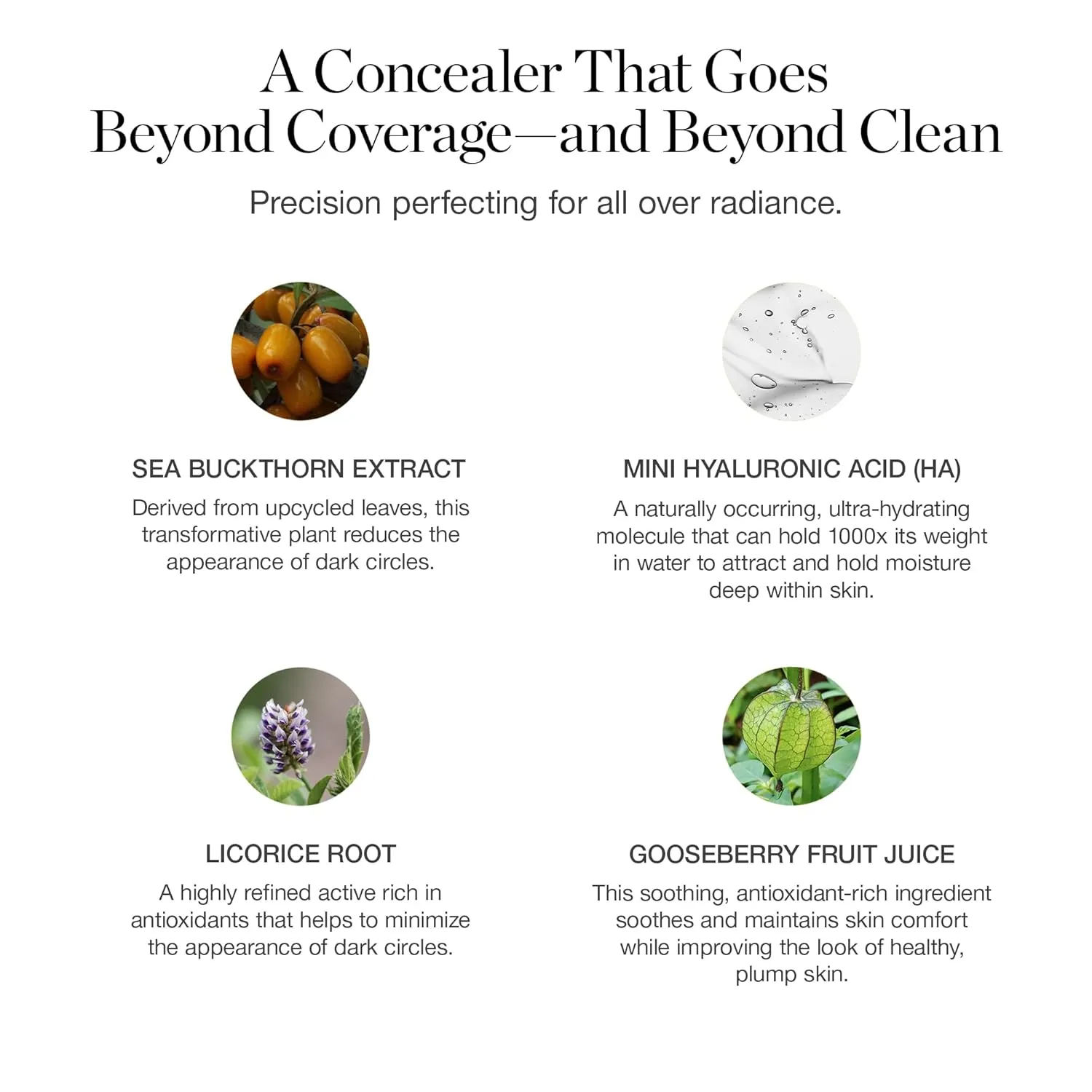 Ogee Complexion Perfecting Under Eye Concealer - Certified Organic Full Coverage Concealer - Buildable Coverage - BANYAN 2.75W - Medium Light (Golden Undertones)