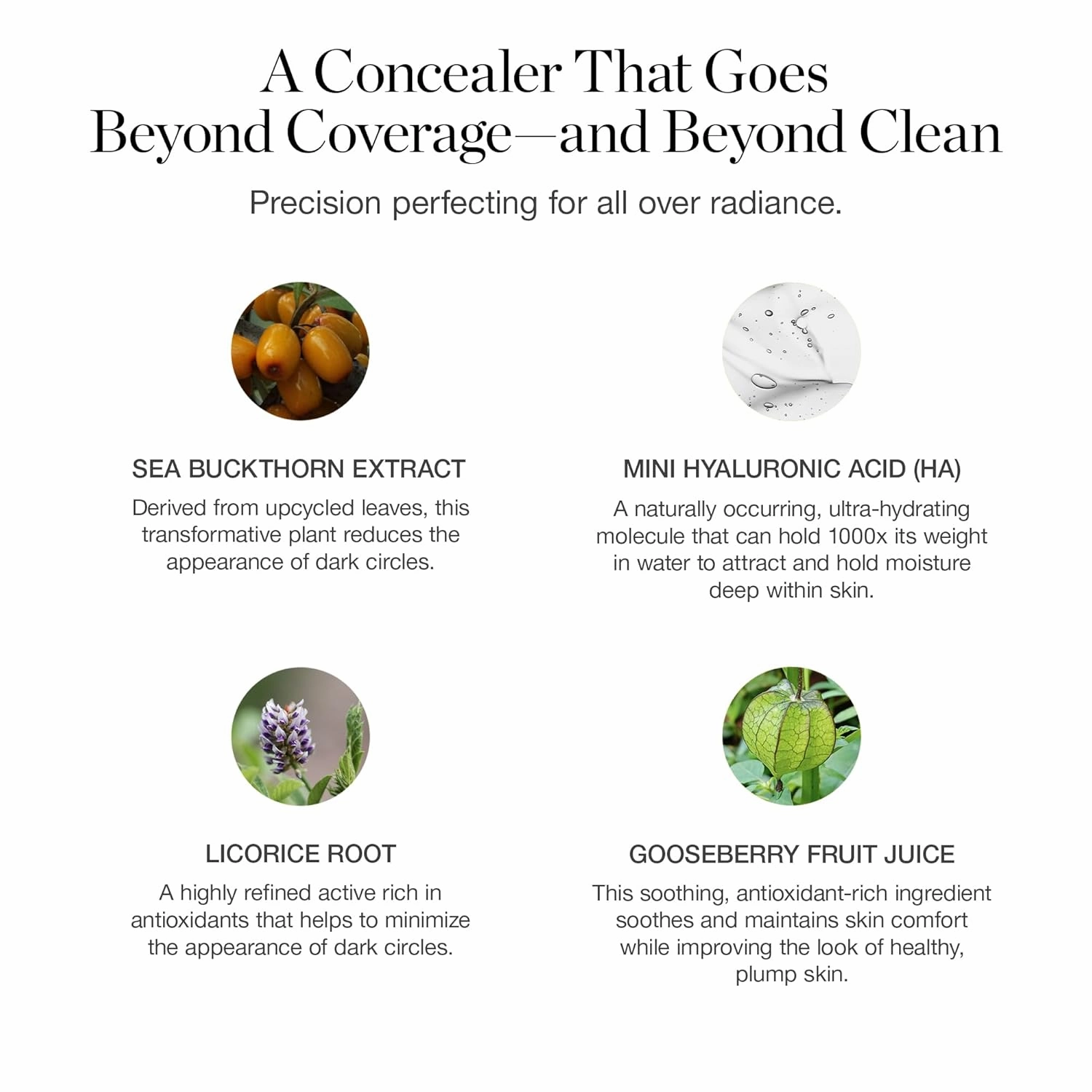 Ogee Complexion Perfecting Under Eye Concealer - Certified Organic Full Coverage Concealer - Buildable Coverage - LARCH 2.25C - Light Tan (Pink Undertones)