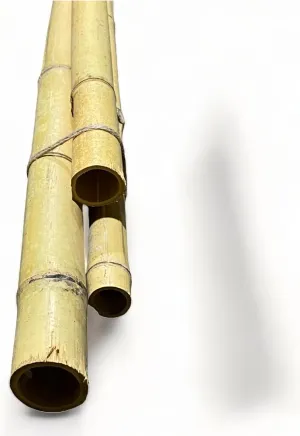 Pack of 3 Bamboo Sticks - 6 Feet Long Natural Thick Bamboo Poles - 1.5 in Diameter - Garden Stakes (Beige)