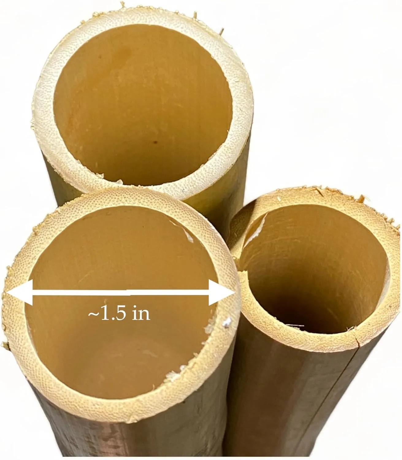 Pack of 3 Bamboo Sticks - 6 Feet Long Natural Thick Bamboo Poles - 1.5 in Diameter - Garden Stakes (Beige)