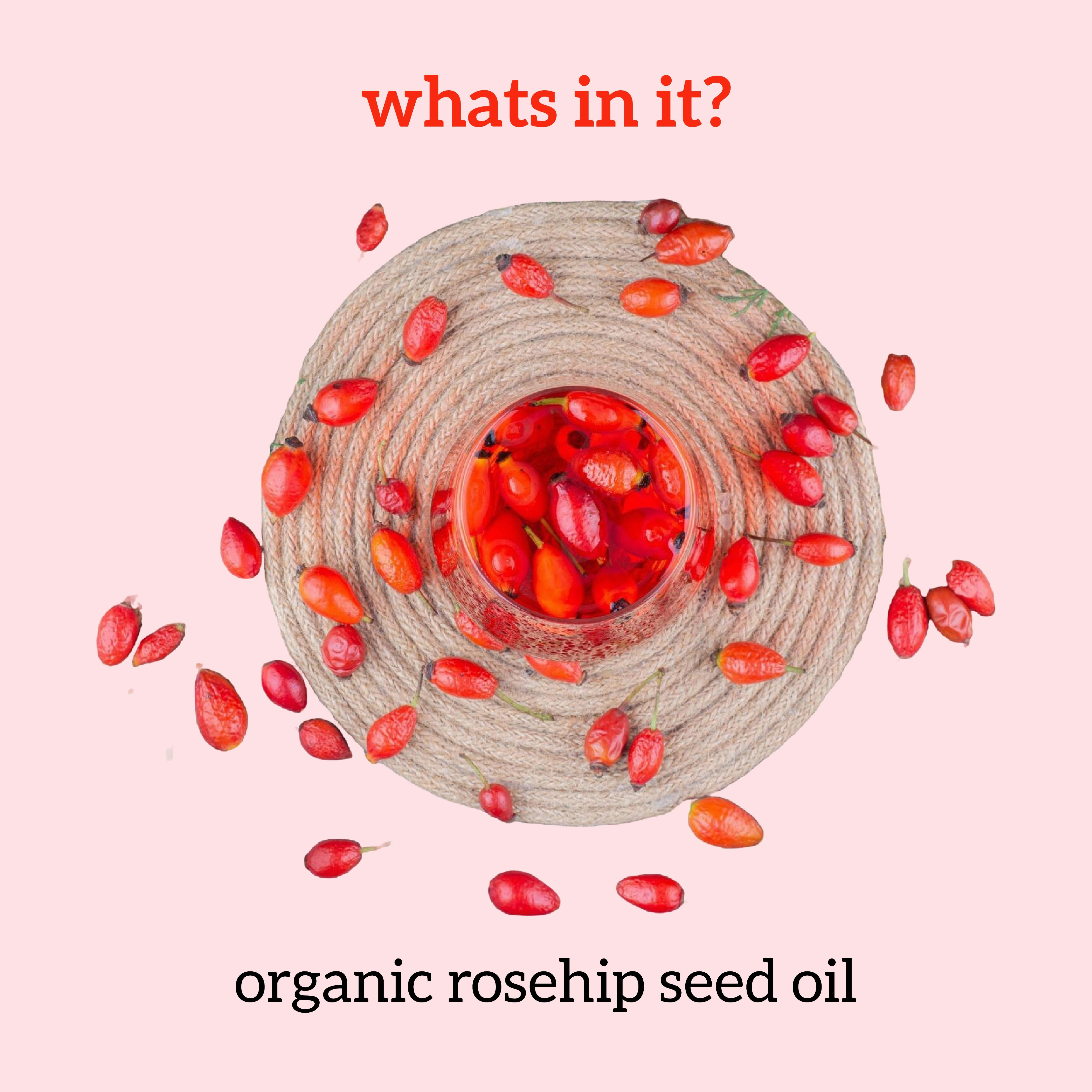 Rosehip Oil - 30ml