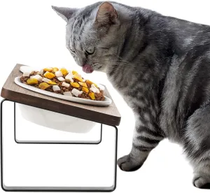 Sunhoo Ceramic Elevated Cat Bowls, Raised Puppy Dishes for Food and Water, Tilted Bamboo Stand for Anti Vomiting, Indoor 5.5 inch Wide Double Dish Orthopedic Anti-Vomiting (Brown)