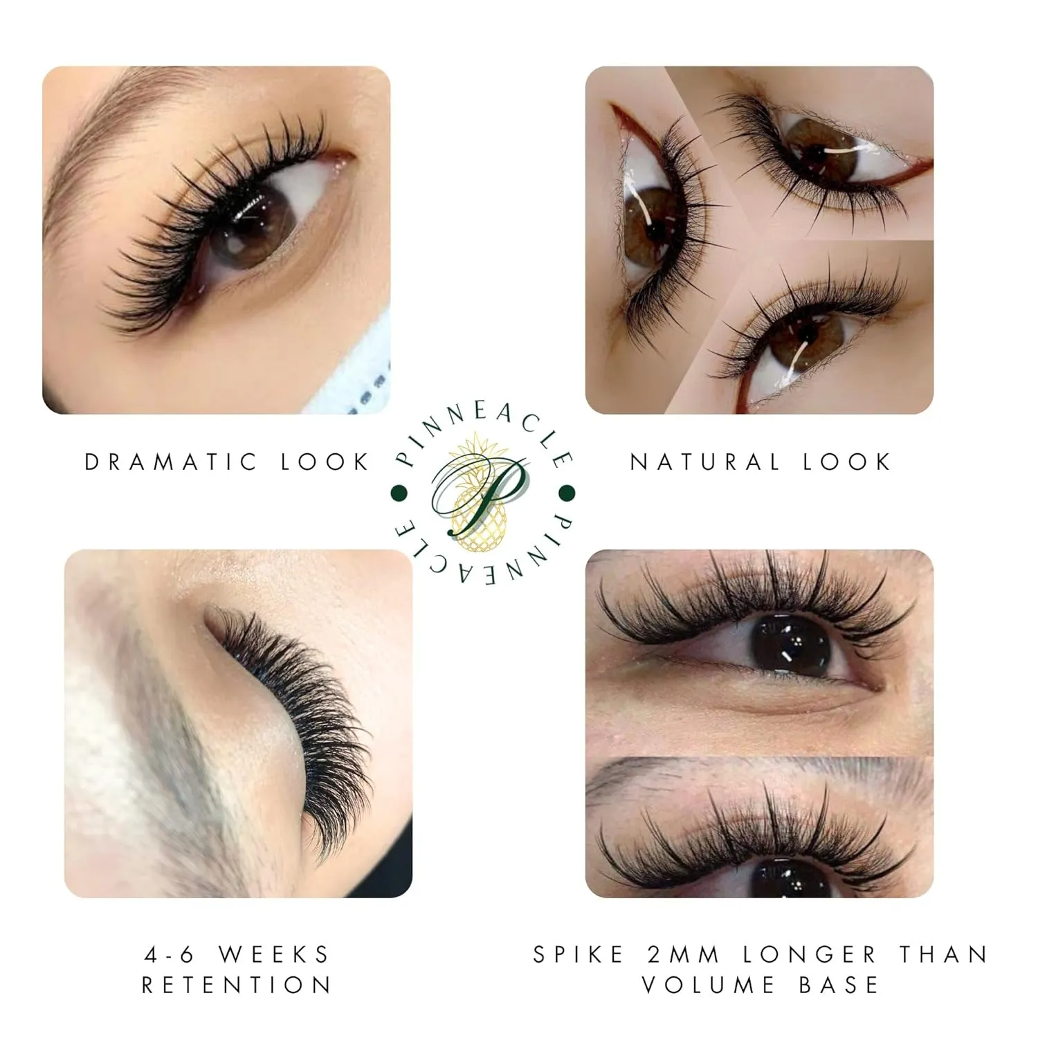Wispy 1200 Fans | 5D volume | 0.07 | Mix 4 sizes in 1 | Easy pick-up | Premade volume fans for eyelashes extensions | Pinneacle Lash (Brown | C curl | 9-10-11-12mm)