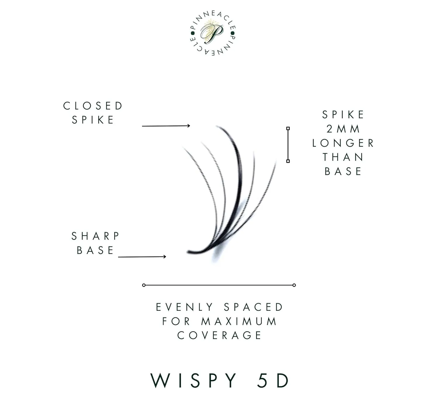 Wispy 1200 Fans | 5D volume | 0.07 | Mix 4 sizes in 1 | Easy pick-up | Premade volume fans for eyelashes extensions | Pinneacle Lash (Brown | C curl | 9-10-11-12mm)
