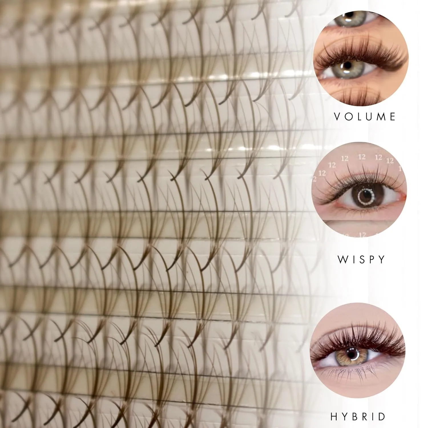 Wispy 1200 Fans | 5D volume | 0.07 | Mix 4 sizes in 1 | Easy pick-up | Premade volume fans for eyelashes extensions | Pinneacle Lash (Brown | C curl | 9-10-11-12mm)