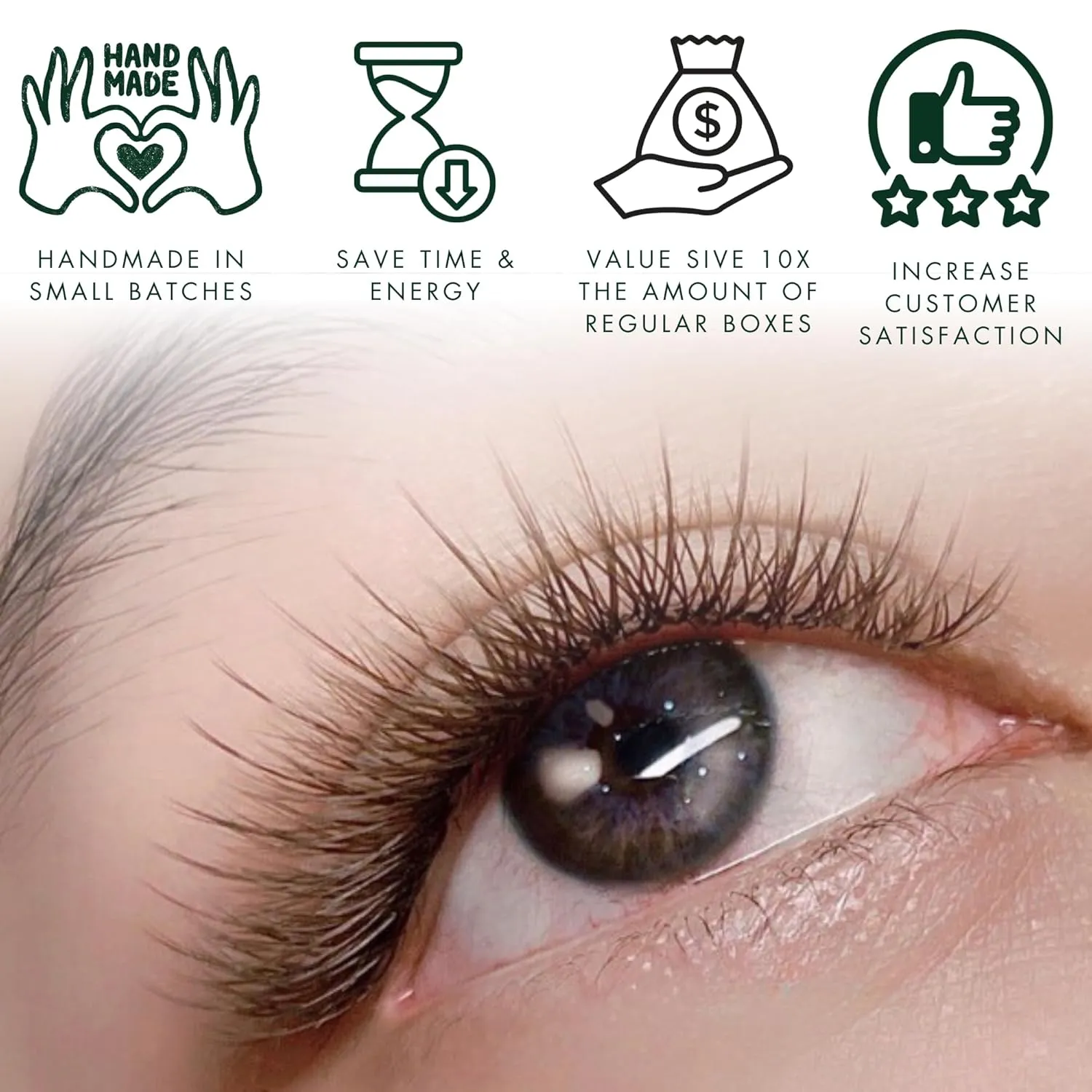 Wispy 1200 Fans | 5D volume | 0.07 | Mix 4 sizes in 1 | Easy pick-up | Premade volume fans for eyelashes extensions | Pinneacle Lash (Brown | C curl | 9-10-11-12mm)